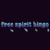 free spirit bingo casino