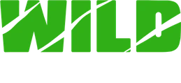 Wild Casino logo