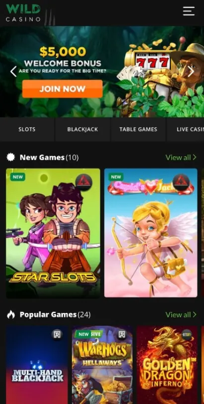 wild casino bonus