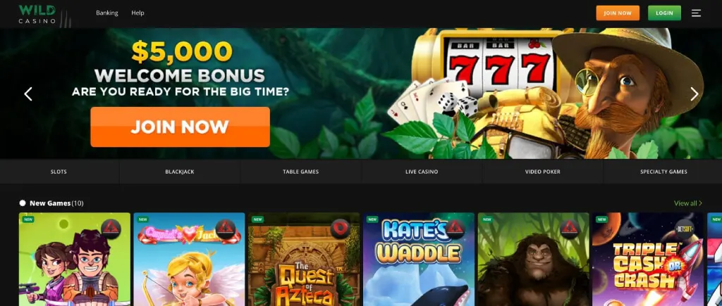 wild casino review