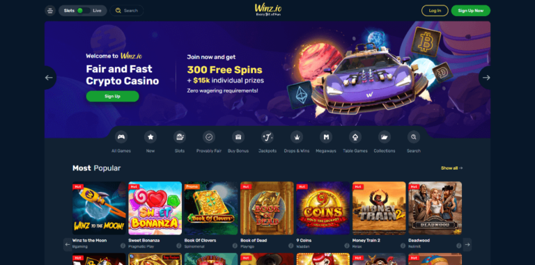 Winz.io Casino Review 2024 | Welcome Up To 300FS | Casino Bros